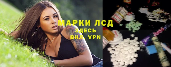 PSILOCYBIN Бугульма