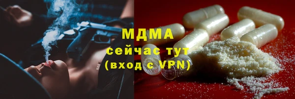 амф Бородино