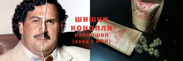 PSILOCYBIN Бугульма