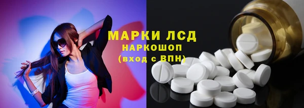 амф Бородино