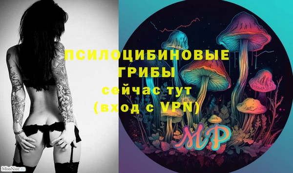 PSILOCYBIN Бугульма