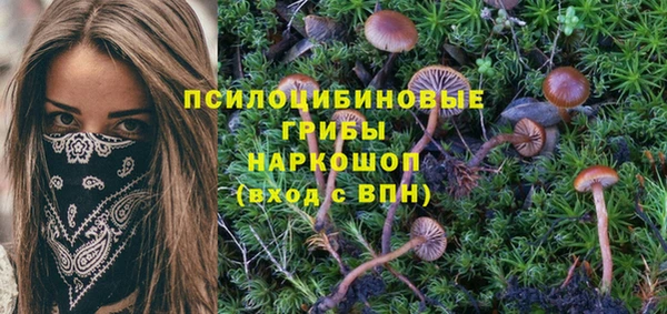 амф Бородино