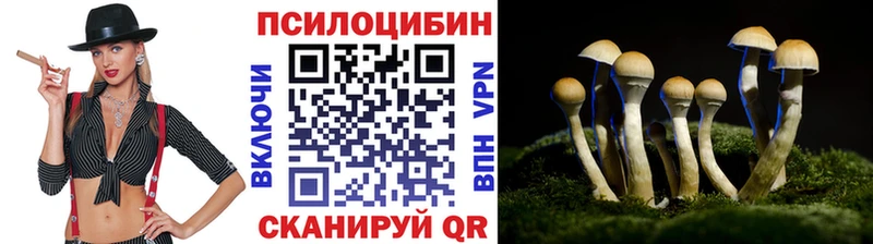 Галлюциногенные грибы Cubensis  Стерлитамак 